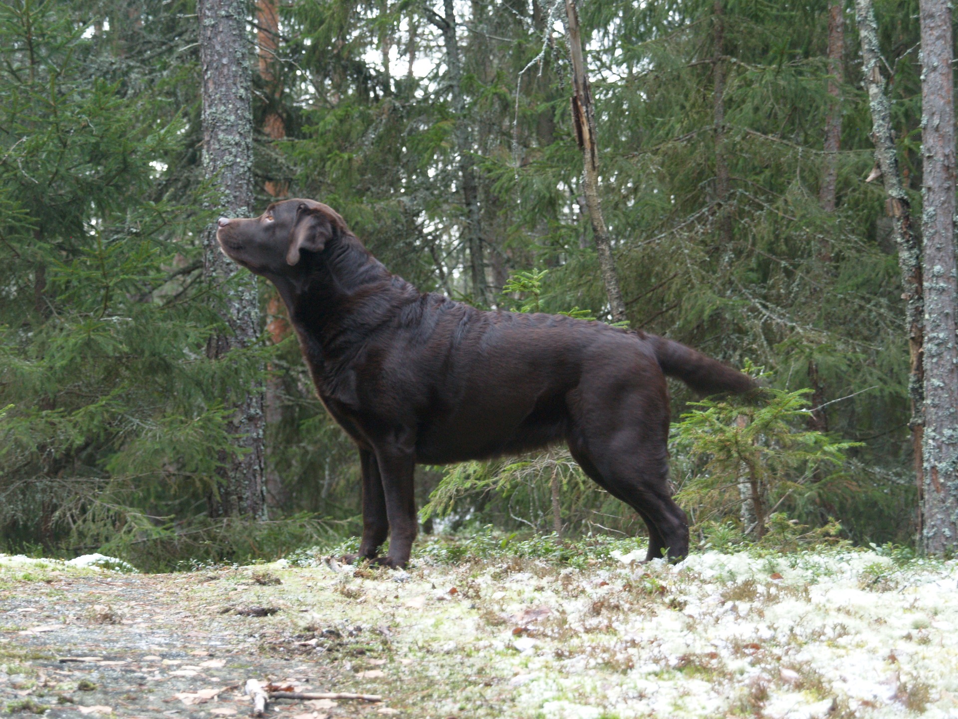 Freja lokakuussa 2025