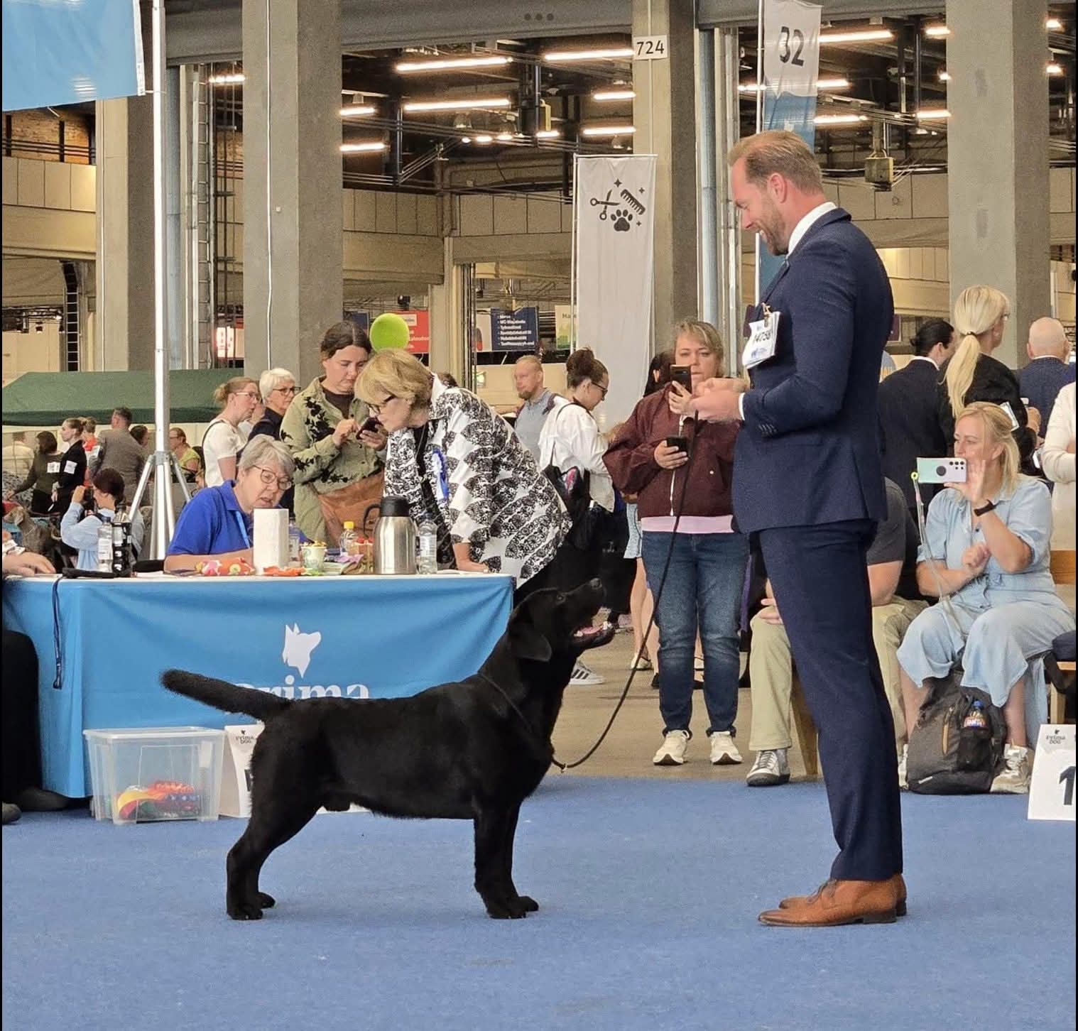 Billy Maailman Voittaja 2025 näyttelyssä Helsingissä.